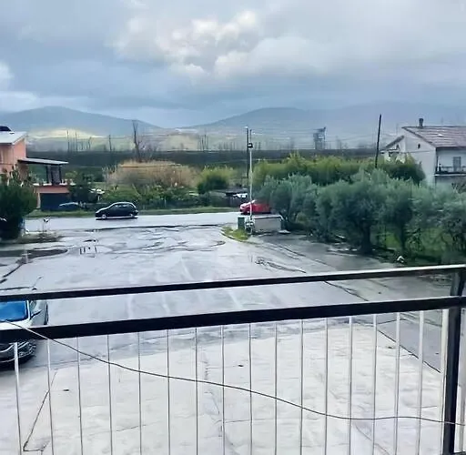 Pet's Friendly Quattromiglio